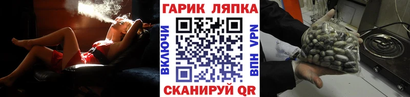Гашиш гарик  Нестеров 