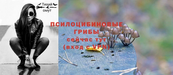 тгк Алексин