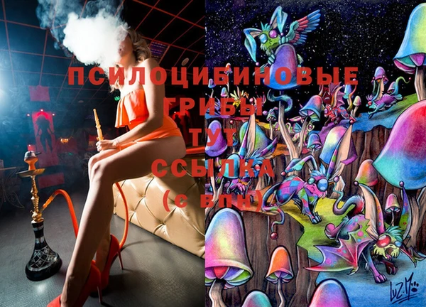 тгк Алексин