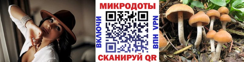 Псилоцибиновые грибы Psilocybe гидра вход Нестеров продажа наркотиков